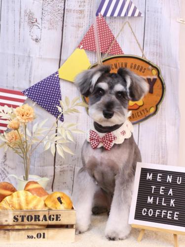 20240910オズくん